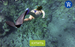 аксессуары для водных видов спорта
