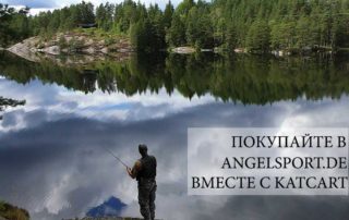 развелечения идеальный пикник