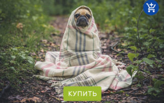 что подарить собаке на день рождения